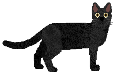 Old Time Crush at Nightster — “Ephram”