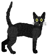 Folklore Driven from Your Fears — “Traveller”