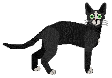 Folklore Pretty Girl — “Dawn”