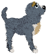 SK's Full Circle Flight at Fleur de Lis — “Boomerang”