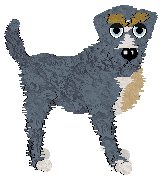 Profile image of SK's Full Circle Flight at Fleur de Lis