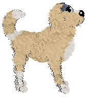 Smeuse's Wants What It Wants at Fleur de Lis — “Heart”