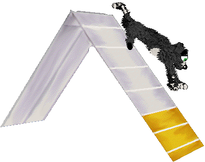 Pinto/Poppyhill's Drive to Survive — “Motorsport”