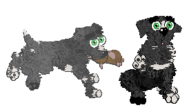 Profile image of Pinto/Poppyhill's Drive to Survive