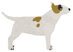 Blizzard THIS HOUSE IS A CIRCUS — “Circus”