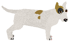 Profile image of Blizzard THIS HOUSE IS A CIRCUS