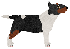 Zirael's ESPRESSO — “Essey”