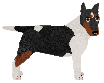 Profile image of Zirael's ESPRESSO