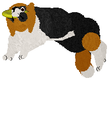 Weel's Hypnotize Me — “Hypno”