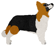 Weel's Hypnotize Me — “Hypno”