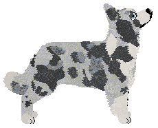 Nocturn CYTHRYBLUS DIWEDD — “Diwedd”