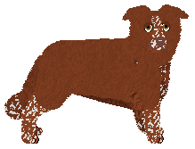 Nocturn GORĄCA KREW — “Pepe”