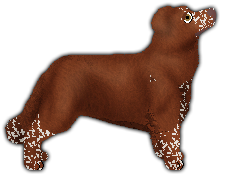 Profile image of Nocturn GORĄCA KREW