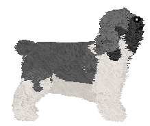 Polka OPAL — “Opal”