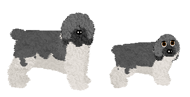 Profile image of Polka OPAL