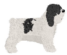 Polka CO MASZ DO POWIEDZENIA — “Lechu”