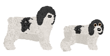 Profile image of Polka CO MASZ DO POWIEDZENIA