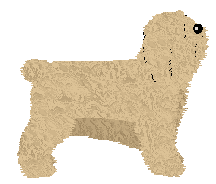 Polka DANUTA ODBIERA NOBLA — “Danusia”