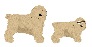 Profile image of Polka DANUTA ODBIERA NOBLA