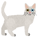 Nightwish Manzanilla — “Decimo”