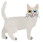 Nightwish Manzanilla — “Decimo”