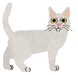 Nightwish Apple Pie — “Marca”