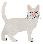 Nightwish Antonino — “Nino”