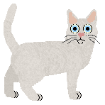 Nightwish Antonino — “Nino”