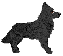 Profile image of Fleetrun Determination