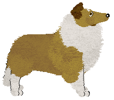 Fleetrun Hawk's Nest — “Hawk”