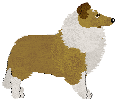 Fleetrun Hawk's Nest — “Hawk”