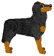 Profile image of Fleetrun Dog Star