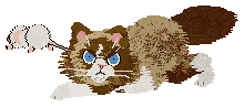 IF/Calluna's Spoonful of Love — “Google”