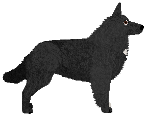 Blizzard WALCZYĆ CZY PRZEGRAĆ — “Viola”