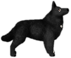 Profile image of Blizzard WALCZYĆ CZY PRZEGRAĆ