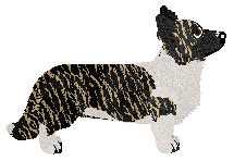 Blizzard JUST CHILL OUT, BABE — “Chill”