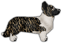 Profile image of Blizzard JUST CHILL OUT, BABE