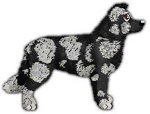 Profile image of THAEGAR of Mettiete