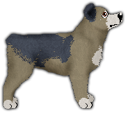 Profile image of Mayflower THE LAST REMAINING LIGHT