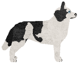 Blizzard Old Days Are Over — “Rina”