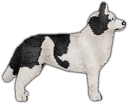 Profile image of Blizzard Old Days Are Over