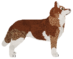 Blizzard HIDDEN TREASURE — “Mister”