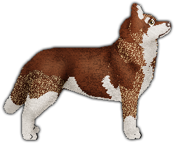 Profile image of Blizzard HIDDEN TREASURE