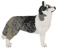 Blizzard Wistful Smile — “Silva”