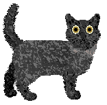 Nightwish Fisherman's Friend — “Minnow”