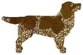 Amore Mio LIKE A STONE — “Stentor”