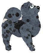 Amphigory/Witz's Atmospheric Downtempo — “Electronica”