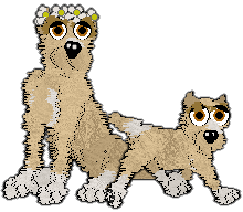 Profile image of Witz's When the Time is Wrong