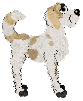 Perfume/Witz's A Collection of Vowels — “Translate”