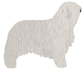 Lastryko LIKE A VILLAIN — “Omen”